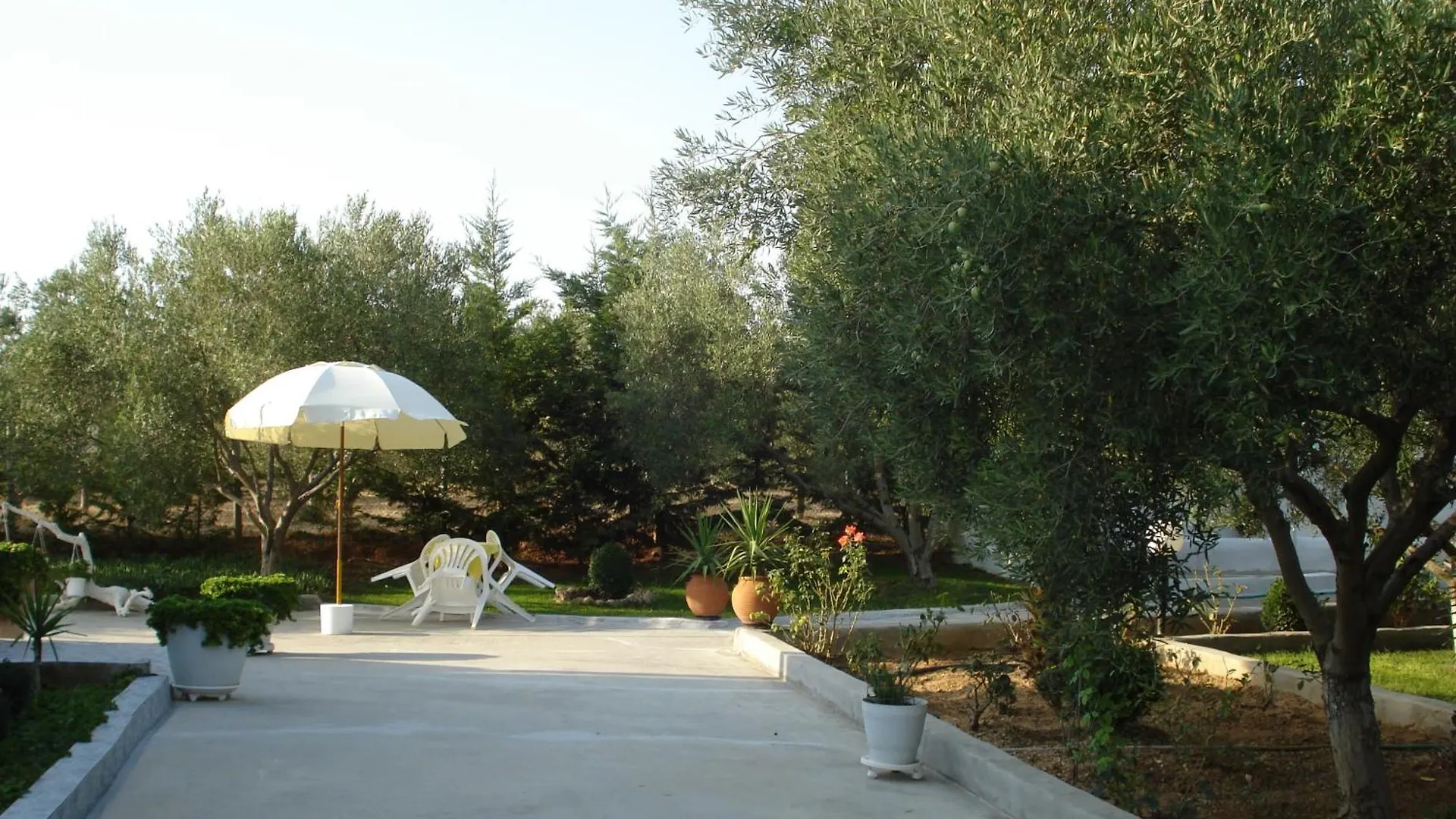 Country House In Olive Grove Gerakini 0*,